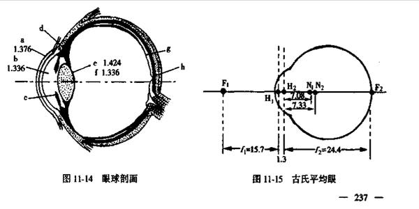 SEO工作培训会到底培训啥，真能帮你搞定排名吗